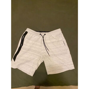 Men's American Eagle Outfitters Shorts, Large, Gray